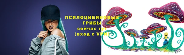 тгк Алексеевка