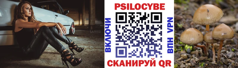 купить  сайты  Чухлома  Псилоцибиновые грибы Psilocybe 